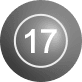 ball number 17