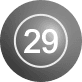 ball number 29